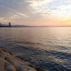 アジング自己最多!