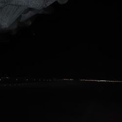 アジング自己最多記録再更新