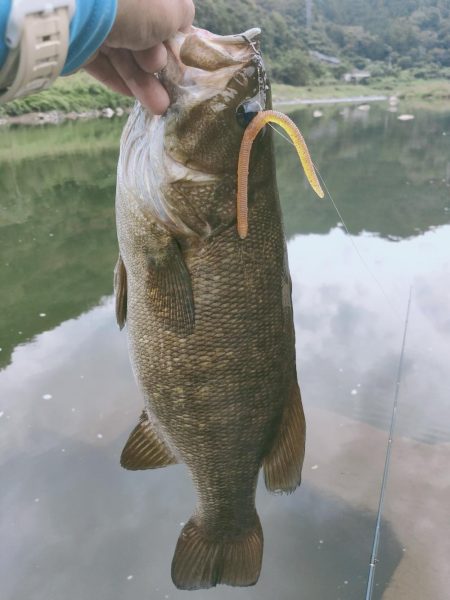 川バス秋釣行