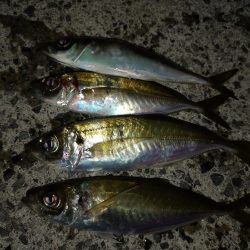 サイズが出ない