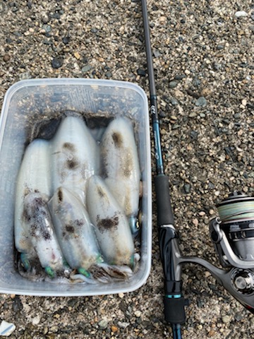 ラストエギ・・・