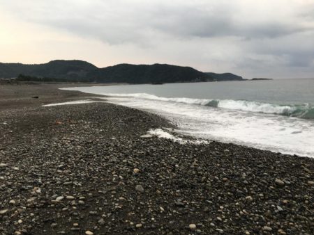 コバンアジ3匹、ムロアジ1匹