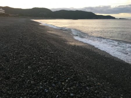 シマアジ、アイゴ、コバンアジ等