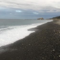 シマアジ、サンノジ、ムロアジほか