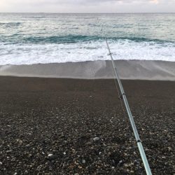 尺シマアジ、サンノジ40㎝ほか