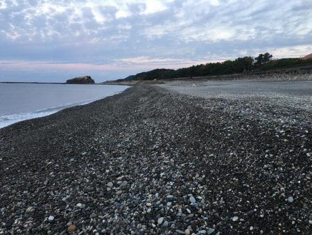 サンノジ2匹、ボラ2匹ほか