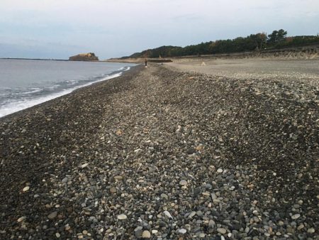 サンノジハゲ、ボラ2匹