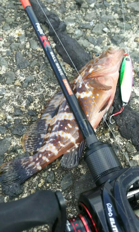 【門司港】キジハタ２連発