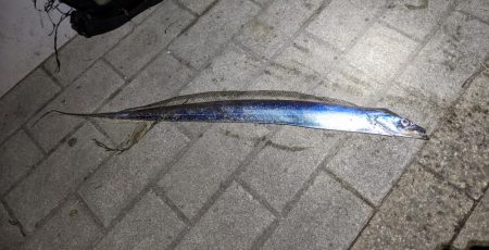 もう少し波風が欲しいかな?