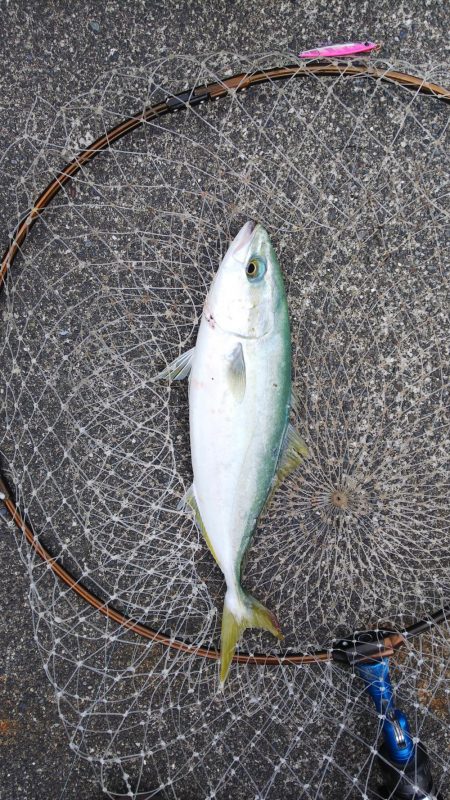 渋くなりました