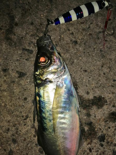 メタルジグアジング