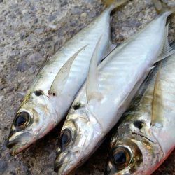 横風が強くて…