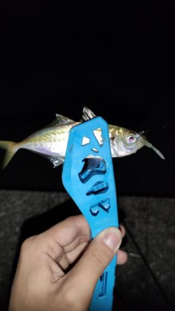 須磨でナイト豆アジング