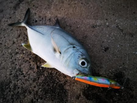 メッキ三種盛り