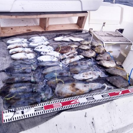 遊漁船SOUTH　10/18釣果