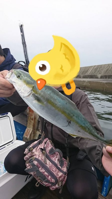 須磨一文字でショアジギング