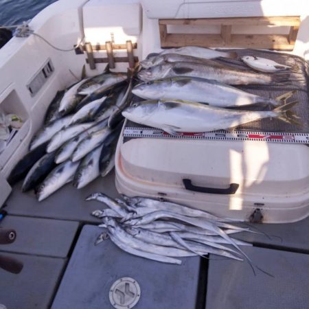 遊漁船SOUTH　10/20釣果