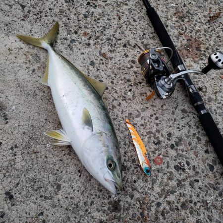 メジロサイズは出なかった( ノД`)…