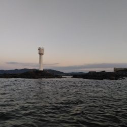 フカセ‥最高ですネ・・