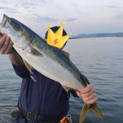 アジングのアジを飲ませて釣る！！