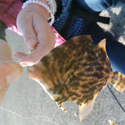 西国回りの序でに