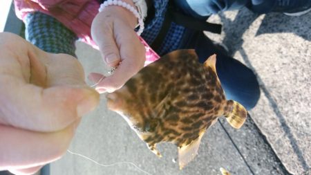 西国回りの序でに