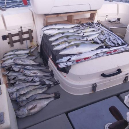 遊漁船SOUTH　10/31釣果