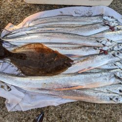 タチウオ夜釣り釣行