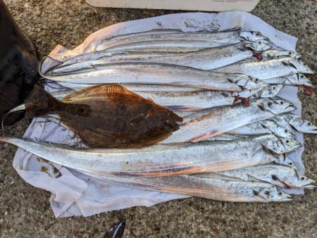 タチウオ夜釣り釣行