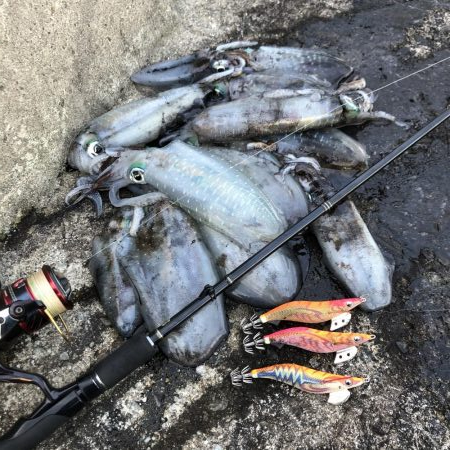 2020 佐渡ヶ島エギング 22回目