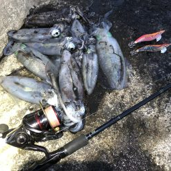 2020 佐渡ヶ島エギング 23回目