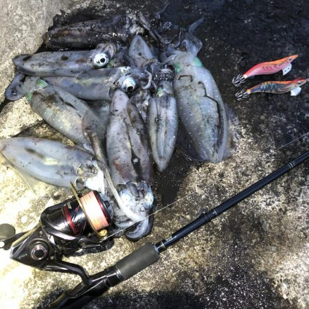 2020 佐渡ヶ島エギング 23回目