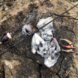 2020 佐渡ヶ島エギング 24回目