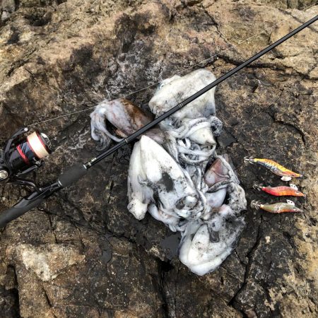 2020 佐渡ヶ島エギング 24回目