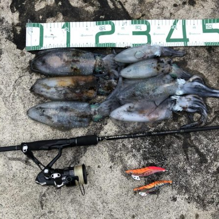 2020 佐渡ヶ島エギング 26回目