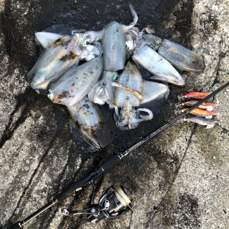 2020 佐渡ヶ島エギング 27回目