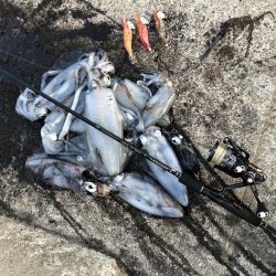 2020 佐渡ヶ島エギング 28回目