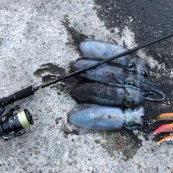 2020 佐渡ヶ島エギング 30回目