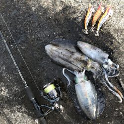 2020 佐渡ヶ島エギング 34回目