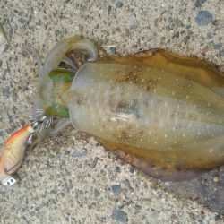 デイ調査～✌️