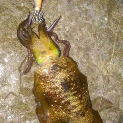 あれれ?厳しい~