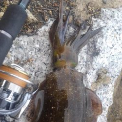 台風は、それたがイカは❓