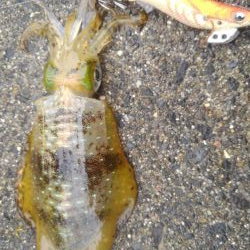 出だしは、良かったんだけど？