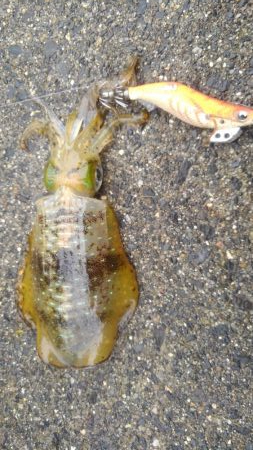 出だしは、良かったんだけど？