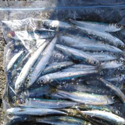 いつもの悪クセ(ToT)