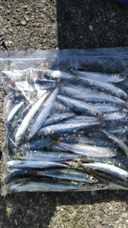 いつもの悪クセ(ToT)