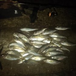 フロートゲーム