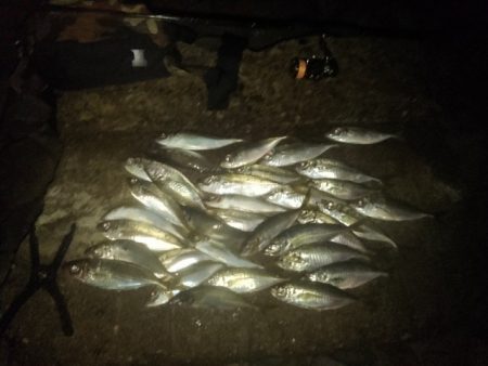 フロートゲーム