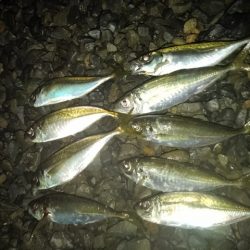 フロートゲーム