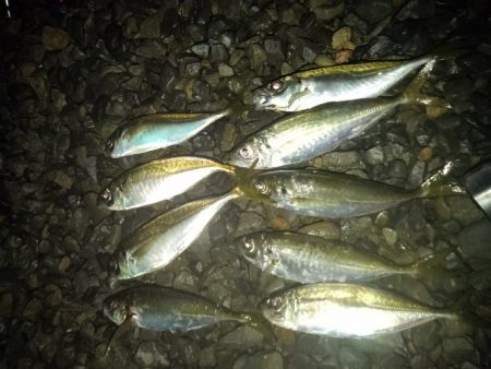 フロートゲーム